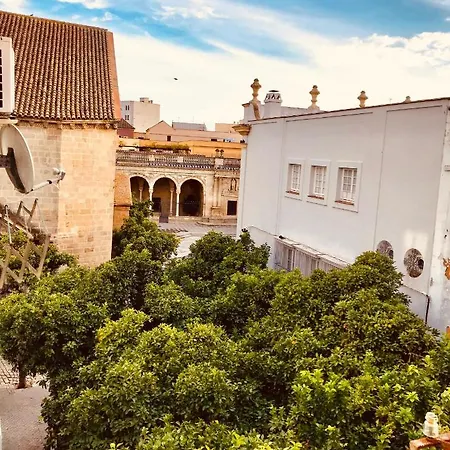 Feel The Sherry Experience1 By Musgo Apartment Jerez de la Frontera